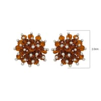 Champion Quartz Zircon Beads Earrings (Tops) CE-1041 photo 4